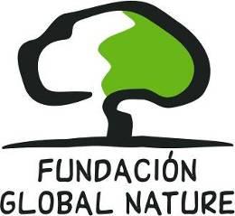 Fundation GN Logo